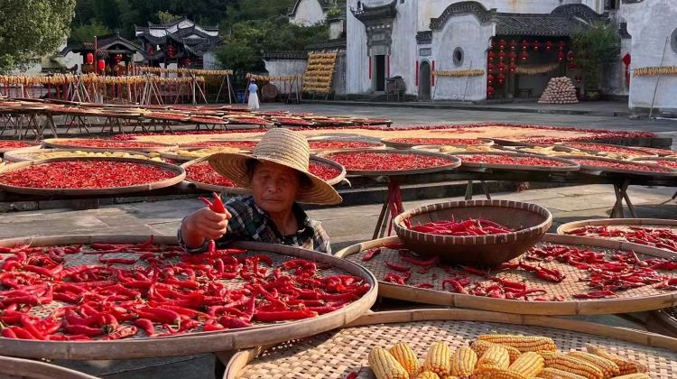 5-Day Custom Itinerary–Free Hui Show&Huizhou Triangle Bun DIY–Huangshan World Mixed Heritage + Hongcun. Xidi. Chengkan. Huizhou Ancient City