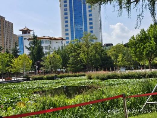 植物园