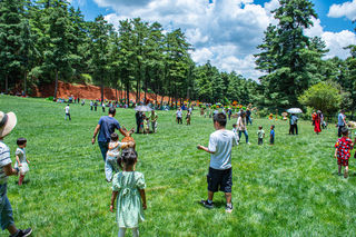 网红景点“昆明松鹿部落”吃喝玩乐攻略,不踩雷,内附详细行程