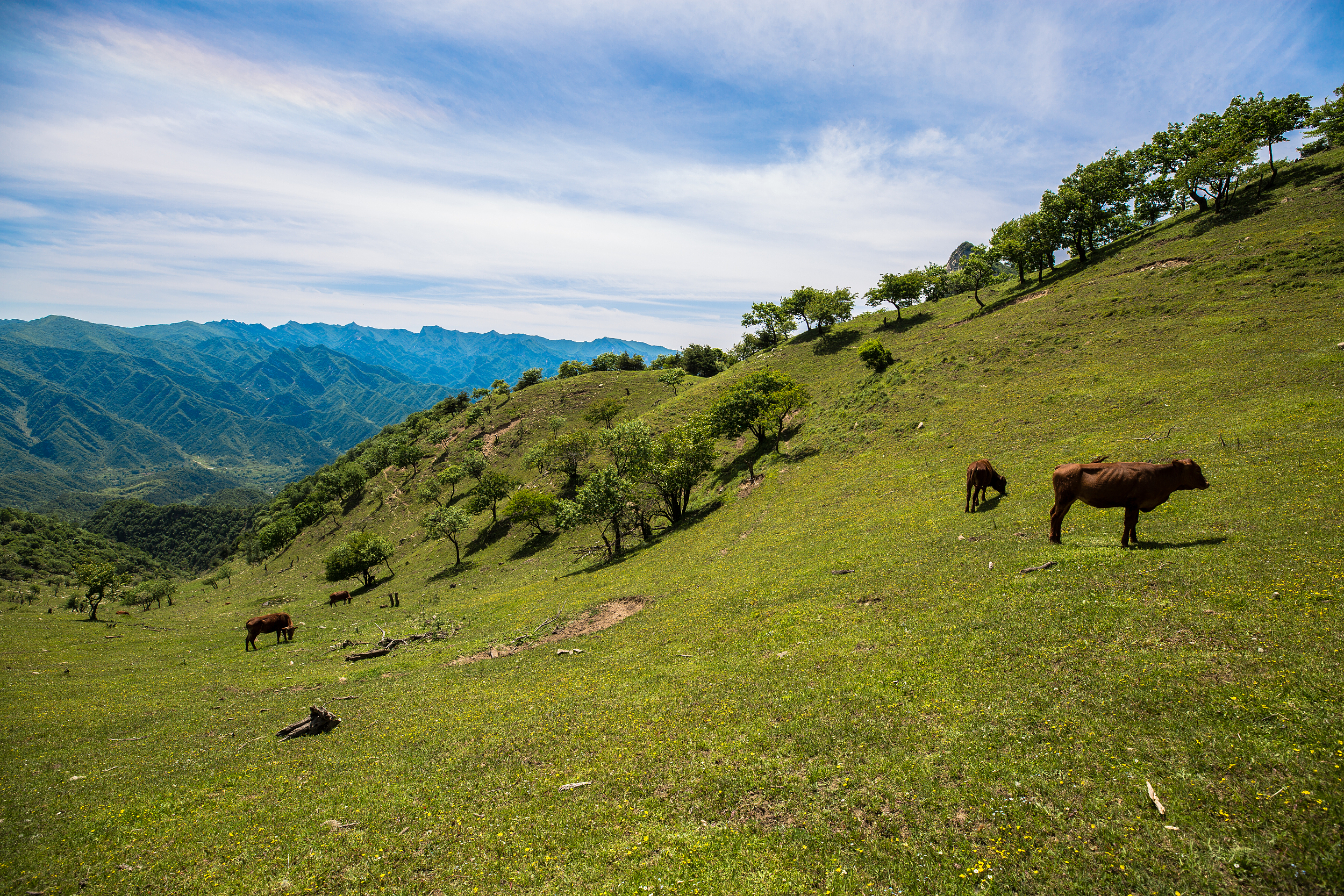 3-Day Huayin Tour: Explore Mount Hua's dramatic peaks, Jinyan Canyon and Huayang Meadow's natural beauty