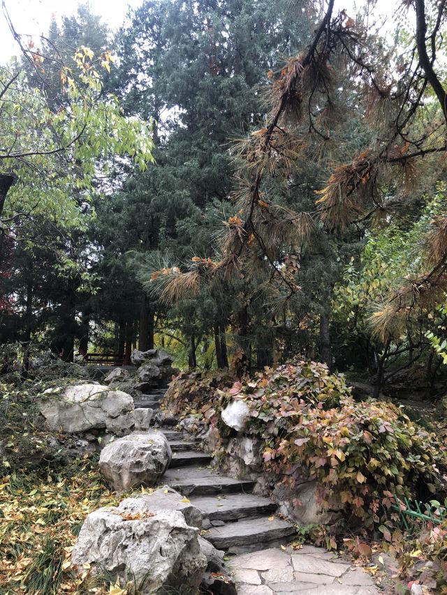 宣武艺园旅行图片 9