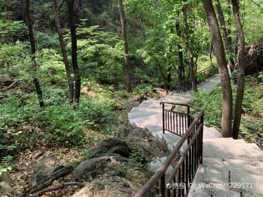 九龙山国家森林公园