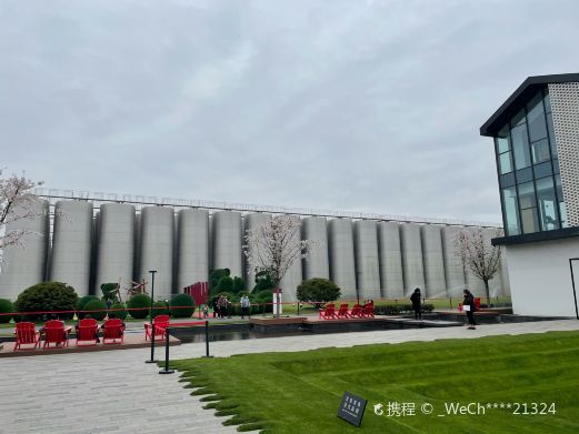沙洲优黄文化园