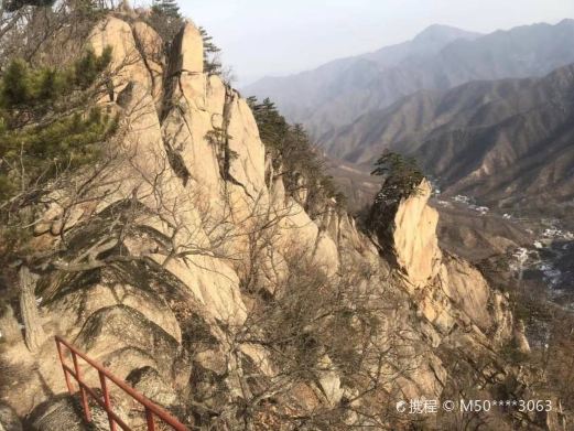 杨山风景区