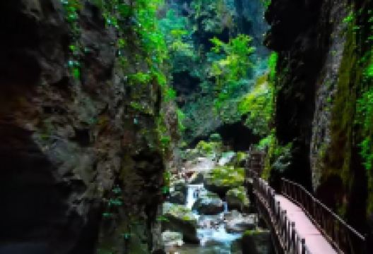 会泽雨碌大地缝景点图片