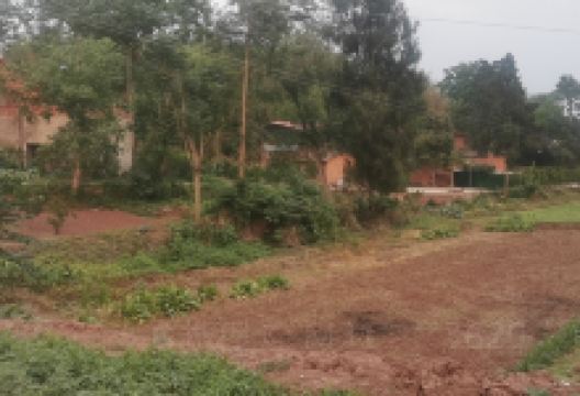 鱼进沟景点图片