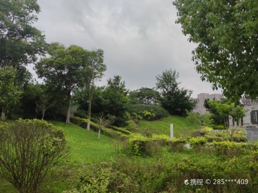 涟漪湖黄嘴白鹭省级自然保护区
