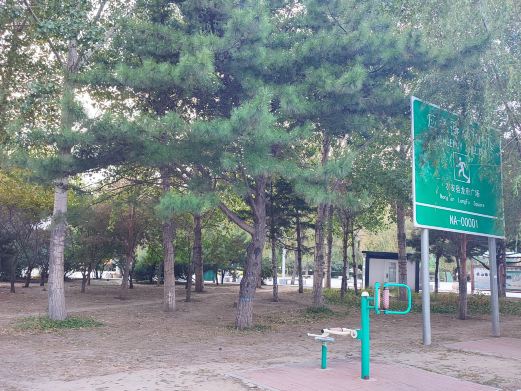 农安县龙府广场