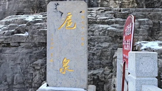 扈泉