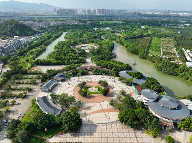 小鸟天堂景点图片