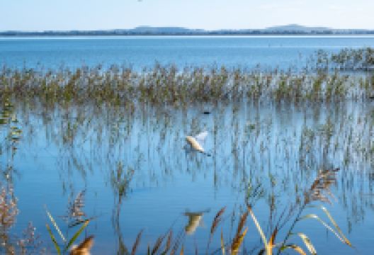 Lake Colac景点图片