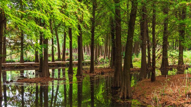 捞渔河国家湿地公园