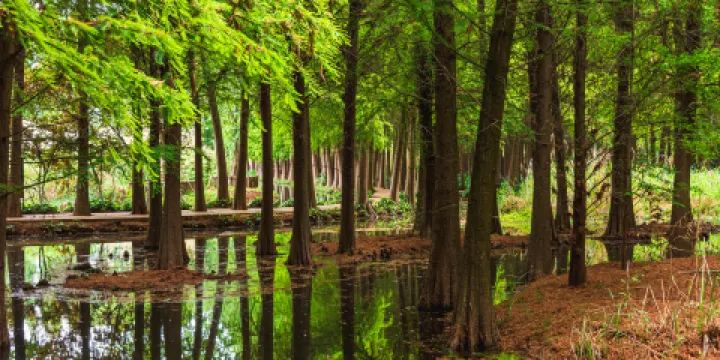 撈漁河國家濕地公園