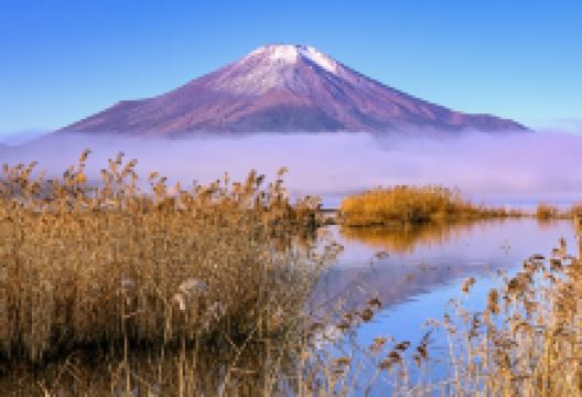 山中湖景点图片