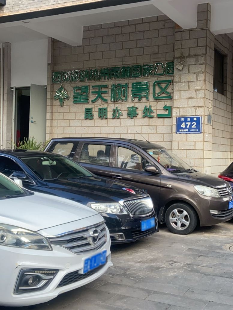 望天树景区昆明办事处