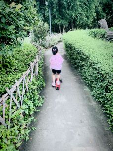 鳄鱼岛-珠海-bluefish20