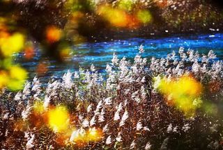3日速战速决，高效扫荡九寨美景美食