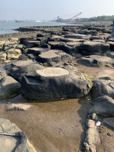 儋州千年古盐田-儋州-不可触碰撞的鱼