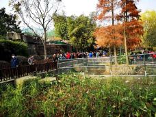 和平公园-上海-zhangfeifei