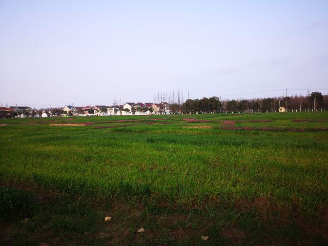 合庆郊野公园旅行图片 4