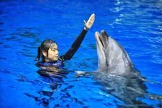 合肥海洋世界-合肥-C-IMAGE