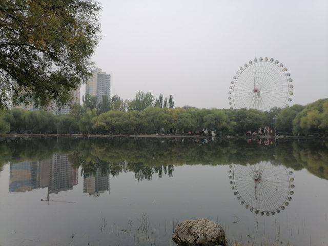 青城公园旅行图片 2