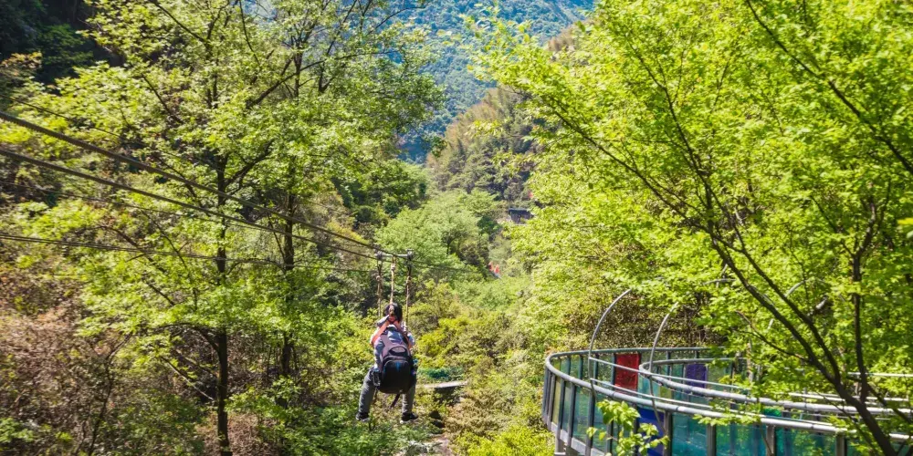 永安旅遊