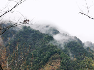 杭州市临安区指南村阳春三月，住民宿吃美食