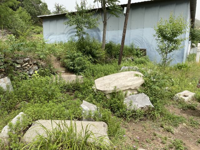 金陵遗址旅行图片 9