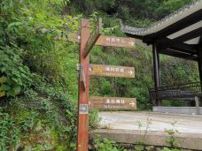 太平岩景区-永嘉-往事如烟323