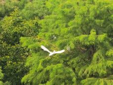 高邮-韶华不负时光