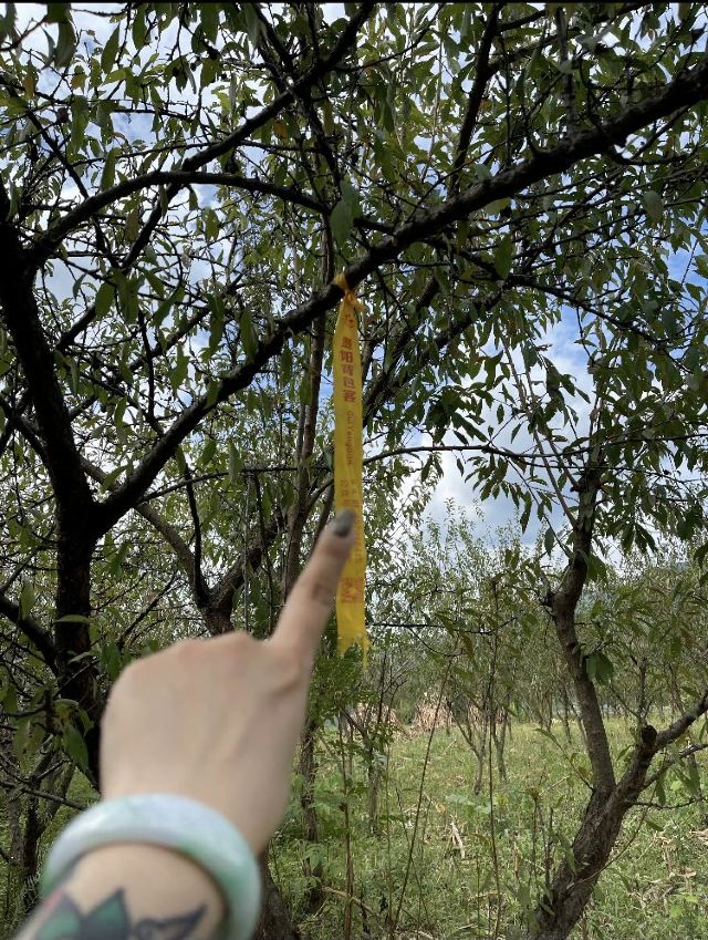 羊皮洞瀑布(不对外开放)旅行图片 12