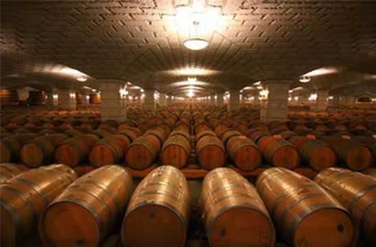 戈壁滩上的葡萄美酒