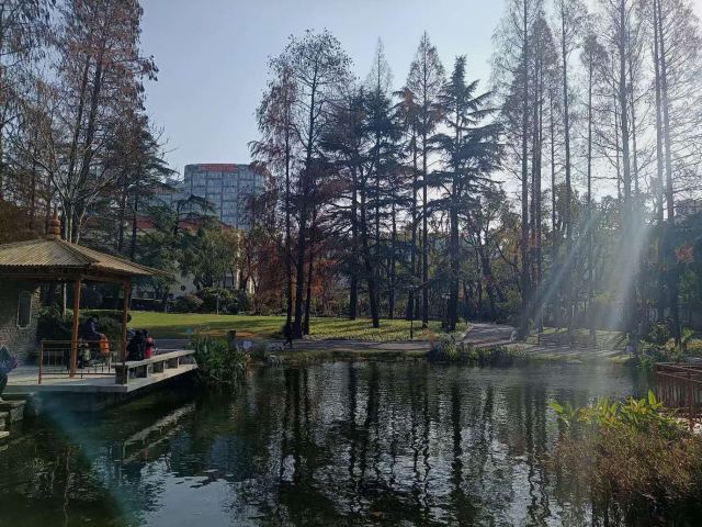 东安公园旅行图片 1