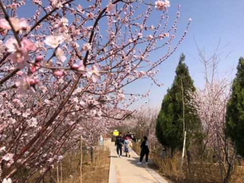 安阳昆玉山自2022年开始实行初一免门票