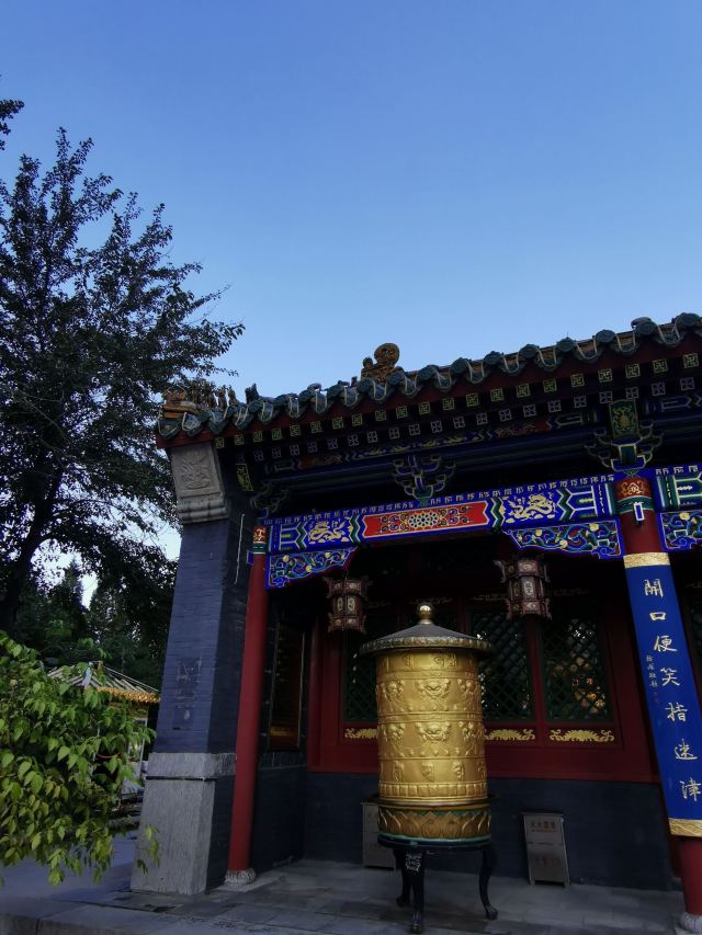 皇寺广场旅行图片 6