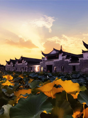 秋天真的要来啦!抓住夏天的尾巴,宁波夏日打卡地你去了几个?