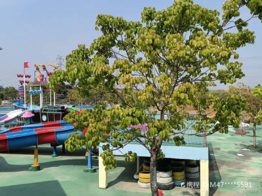 水方阁水上乐园