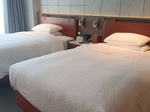 成都天府新区福朋喜来登酒店主图