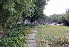 东坡园景点图片