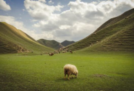 石河子南山风景区景点图片
