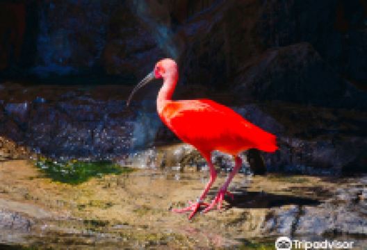 Great Plains Zoo景点图片