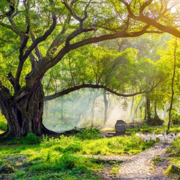 太姥山+东壁+杨家溪+北岐滩涂+白水洋风景区6日5晚私家团