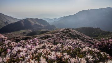 Wumeng Grass Plain