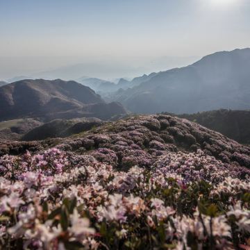 六盘水+乌蒙大草原+妥乐古银杏3日2晚私家团