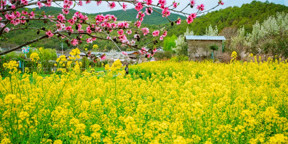 永安旅遊