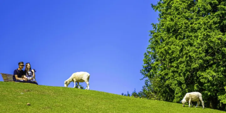 神戶市立六甲山牧場