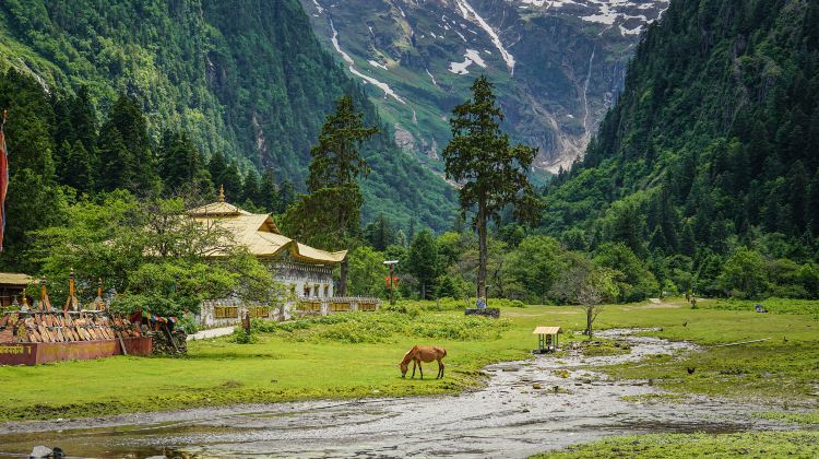 7D6N · Group Tours · Yunnan: Lijiang + Shangri-La + Yubeng Village + Ice Lake + Yubeng God Waterfall + Meili Snow Mountain National Park