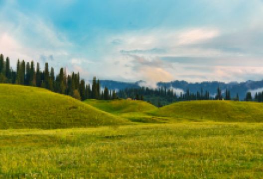 河谷草原景点图片