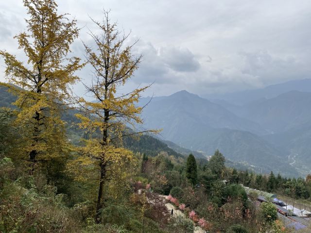 川西红枫岭旅行图片 10